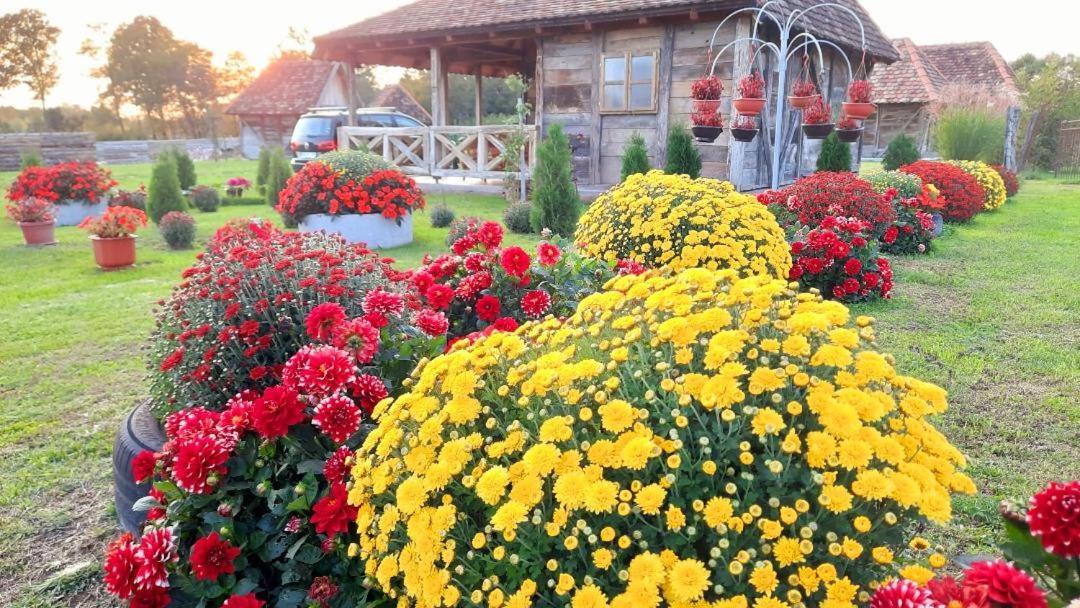 Etno Selo Eden Hotel Zeravacki Potok ภายนอก รูปภาพ